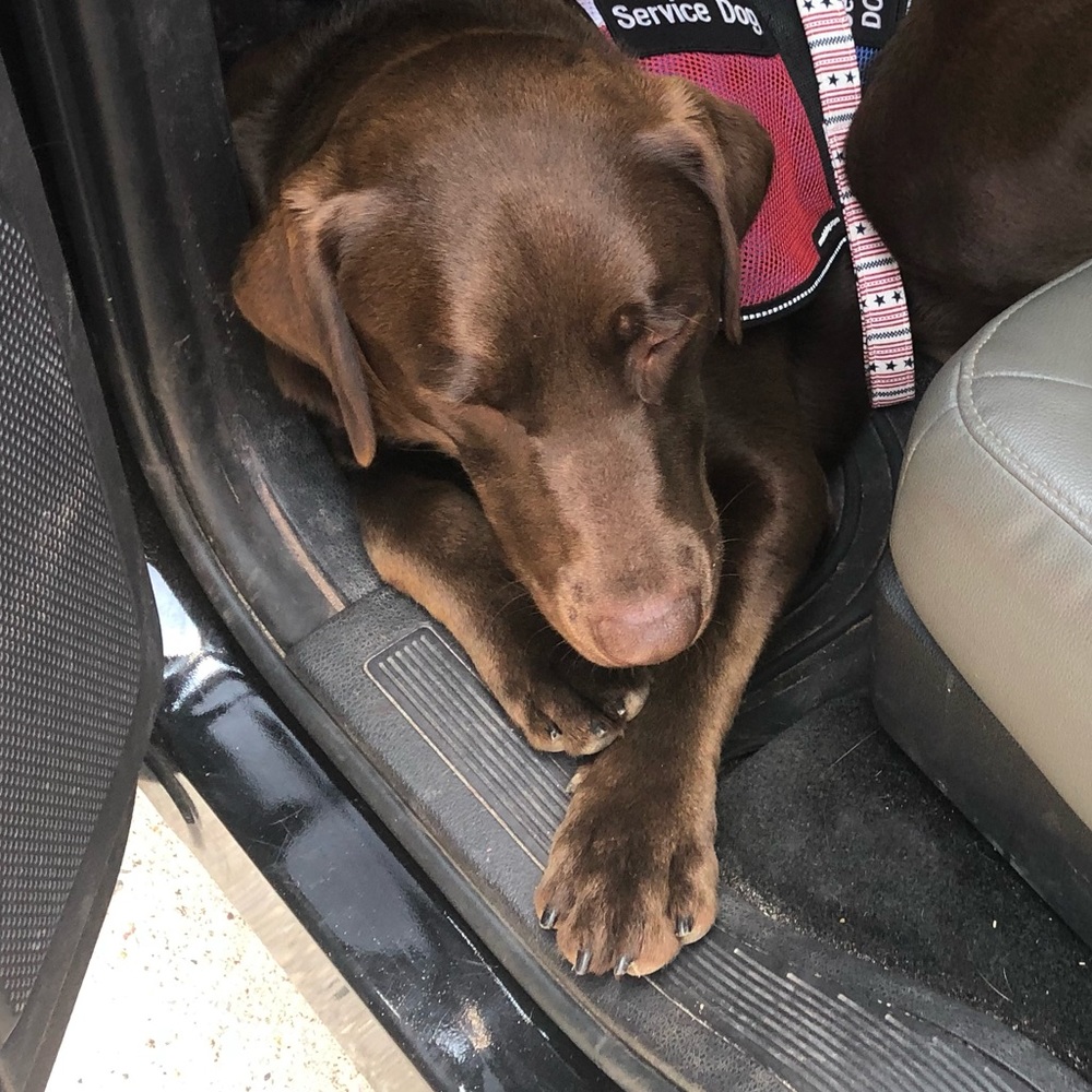 Meet your Posher, Neal